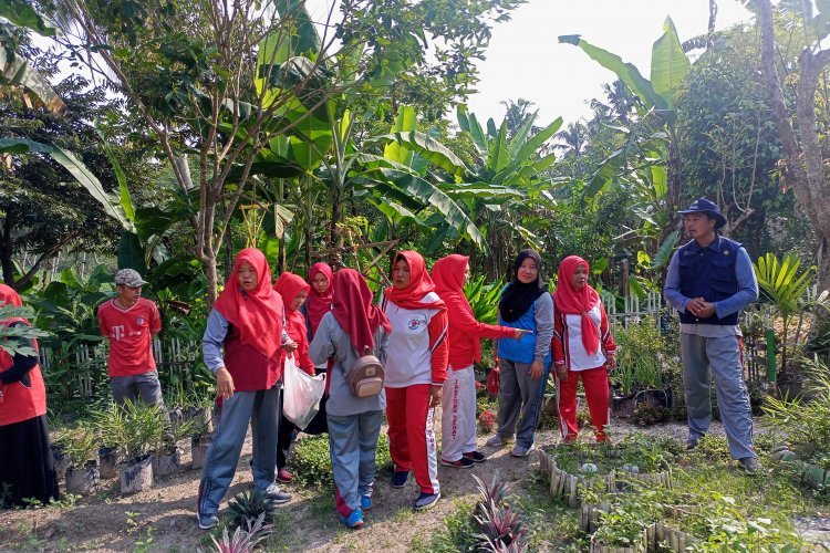 UPT Pertanian Memberikan Bibit Untuk Tanaman Toga Desa Pematang Baru 