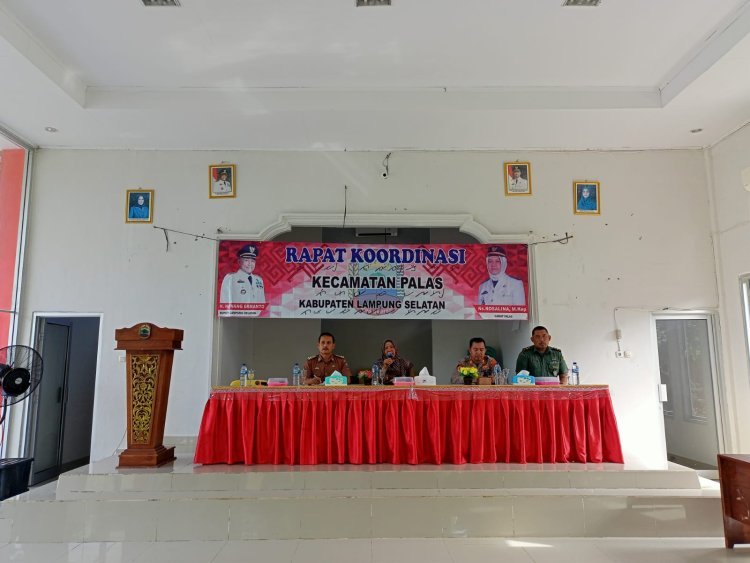 Camat Palas Rosalina, Pimpin Kegiatan Rapat Koordinasi.