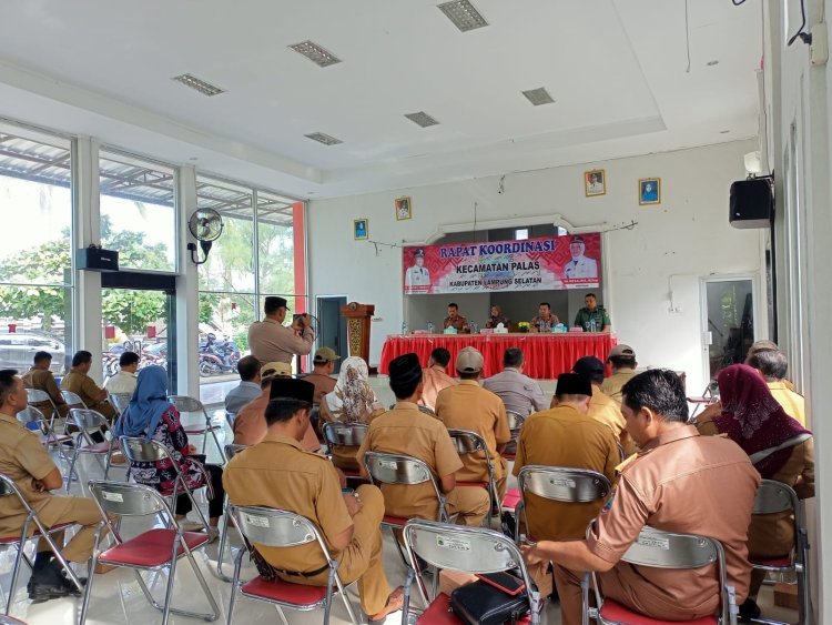 Camat Palas Rosalina, Pimpin Kegiatan Rapat Koordinasi.