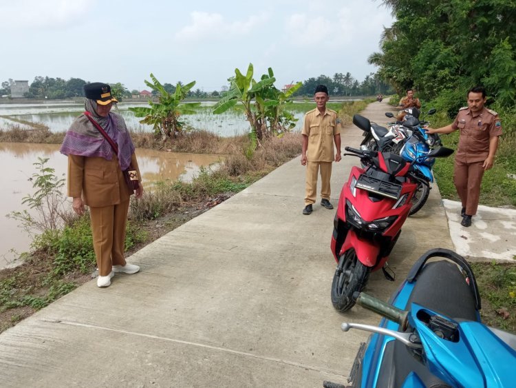 Camat Palas Rosalina Lakukan Monitoring Pembangunan Jalan Rabat Beton Desa Palas Jaya