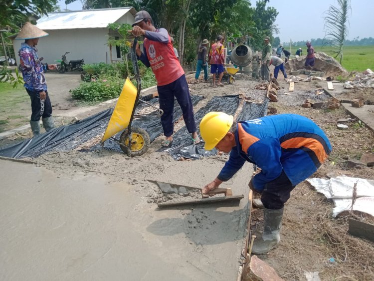 Camat Palas Rosalina Lakukan Monitoring Pembangunan Jalan Rabat Beton Desa Palas Jaya