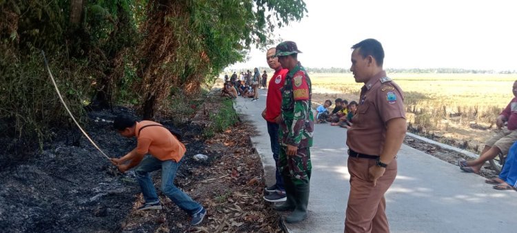 Lahan Perkebunan Palas jaya terbakar, belum diketahui penyebabnya.