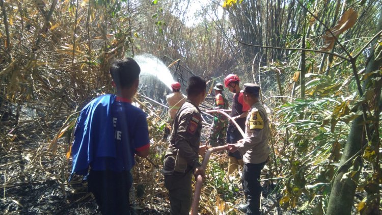 Lahan Perkebunan Palas jaya terbakar, belum diketahui penyebabnya.